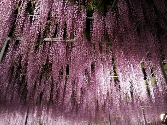 鬼滅の刃で話題の産屋敷の名字の意味と由来は？
